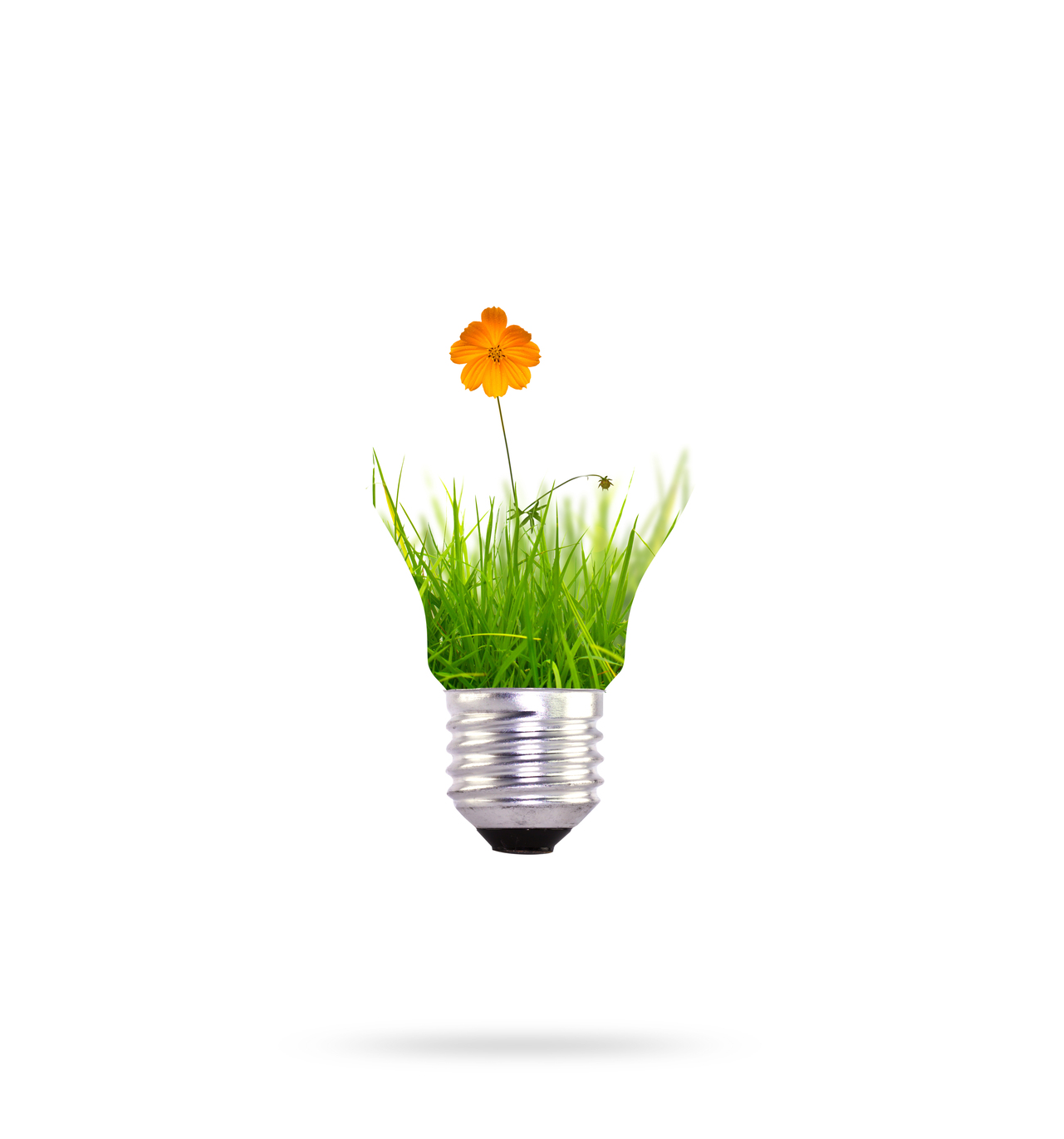 renewable energy with orange flower 1